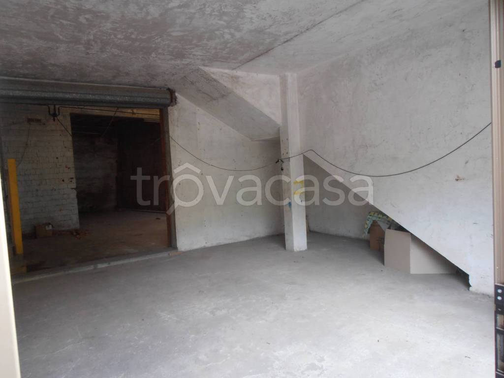 immagine annuncio 12 di 14