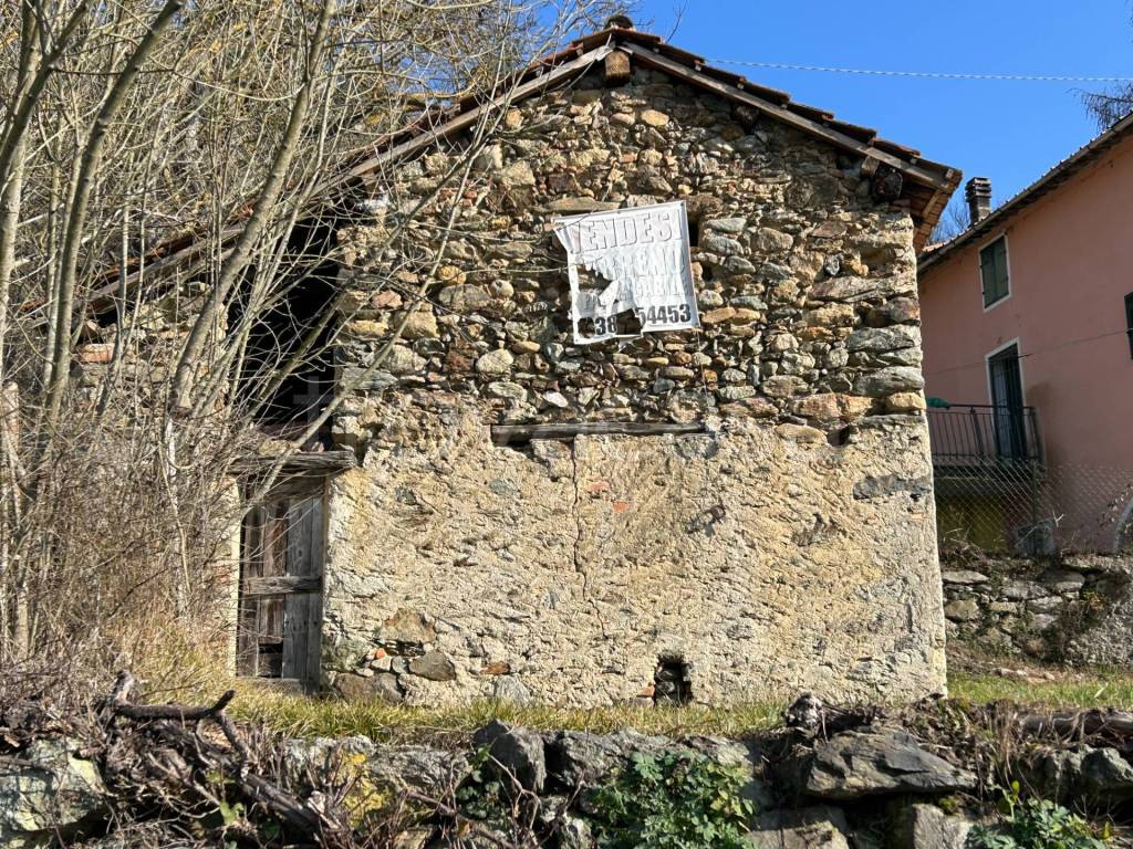 immagine annuncio 3 di 7