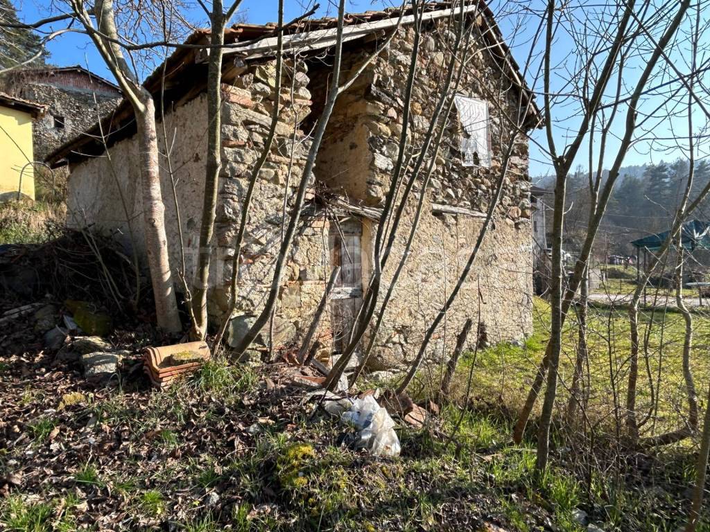 immagine annuncio 4 di 7