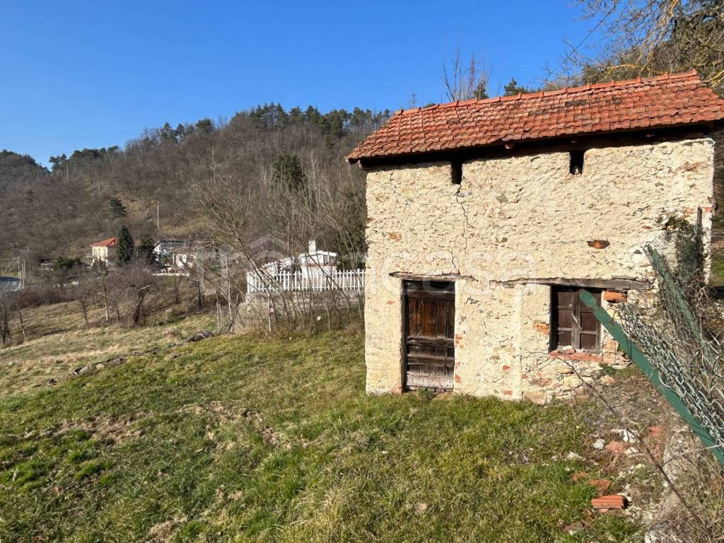 immagine annuncio 5 di 7