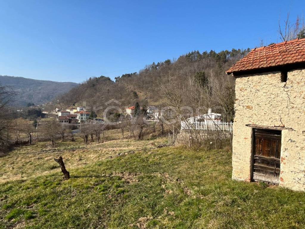 immagine annuncio 6 di 7