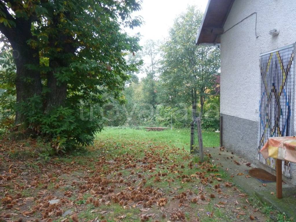 immagine annuncio 10 di 12