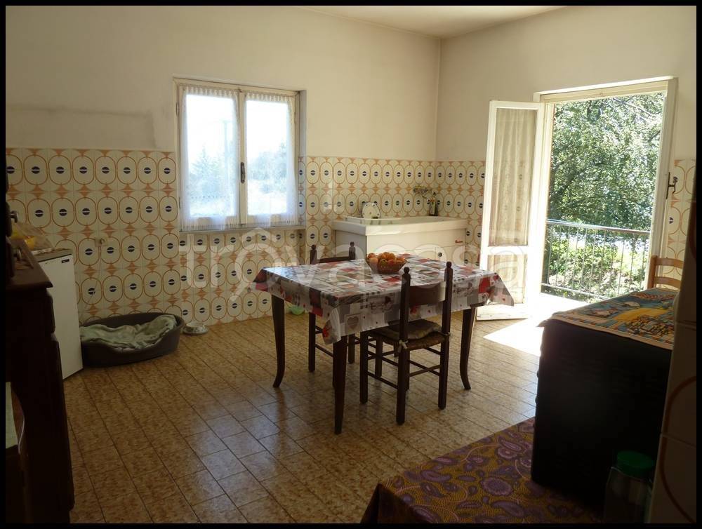 immagine annuncio 7 di 14