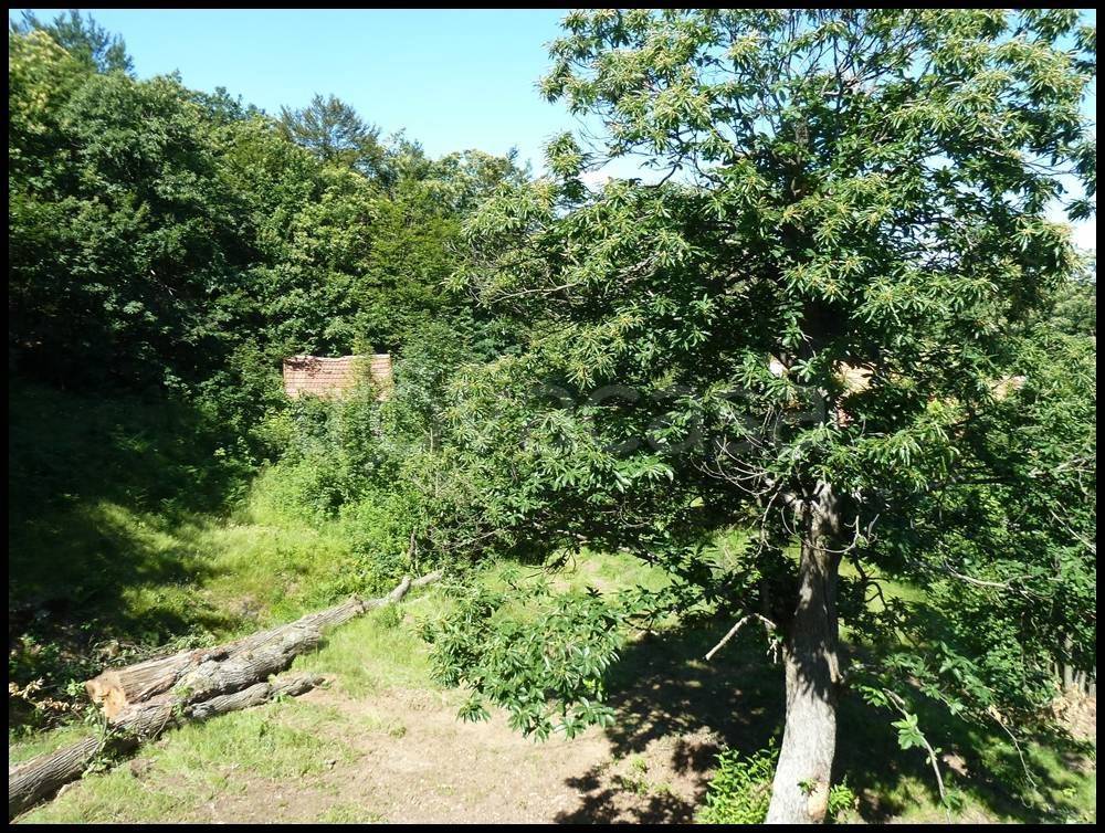 immagine annuncio 13 di 14