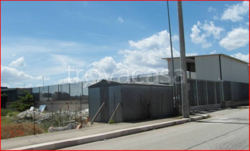 immagine annuncio 3 di 12