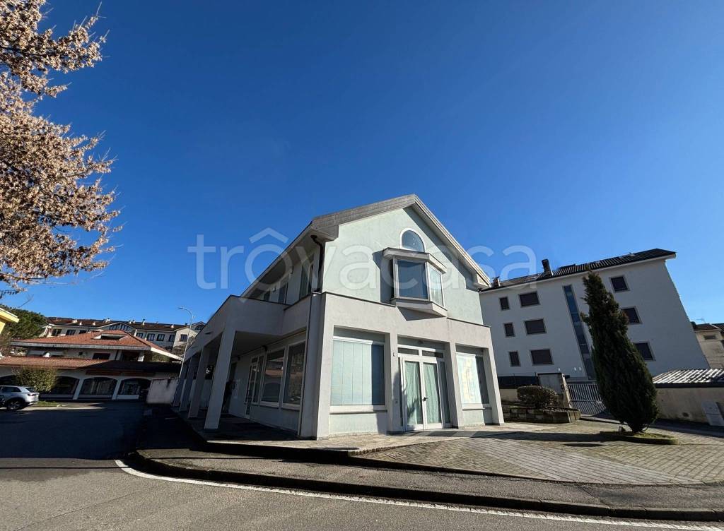 immagine annuncio 2 di 13