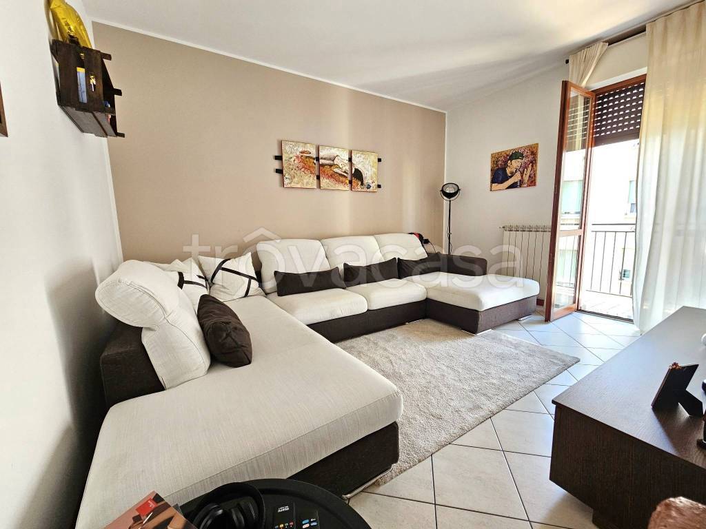 immagine annuncio 9 di 15