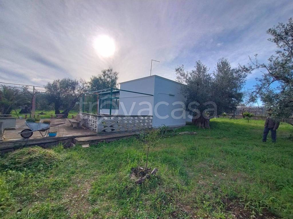 immagine annuncio 1 di 8