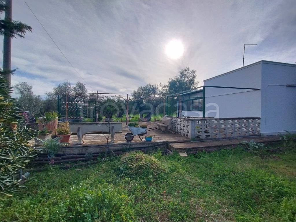 immagine annuncio 2 di 8