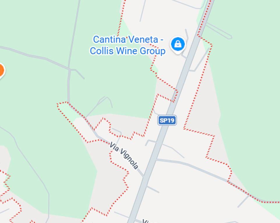 immagine annuncio 2 di 11