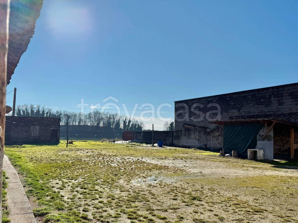 immagine annuncio 7 di 11