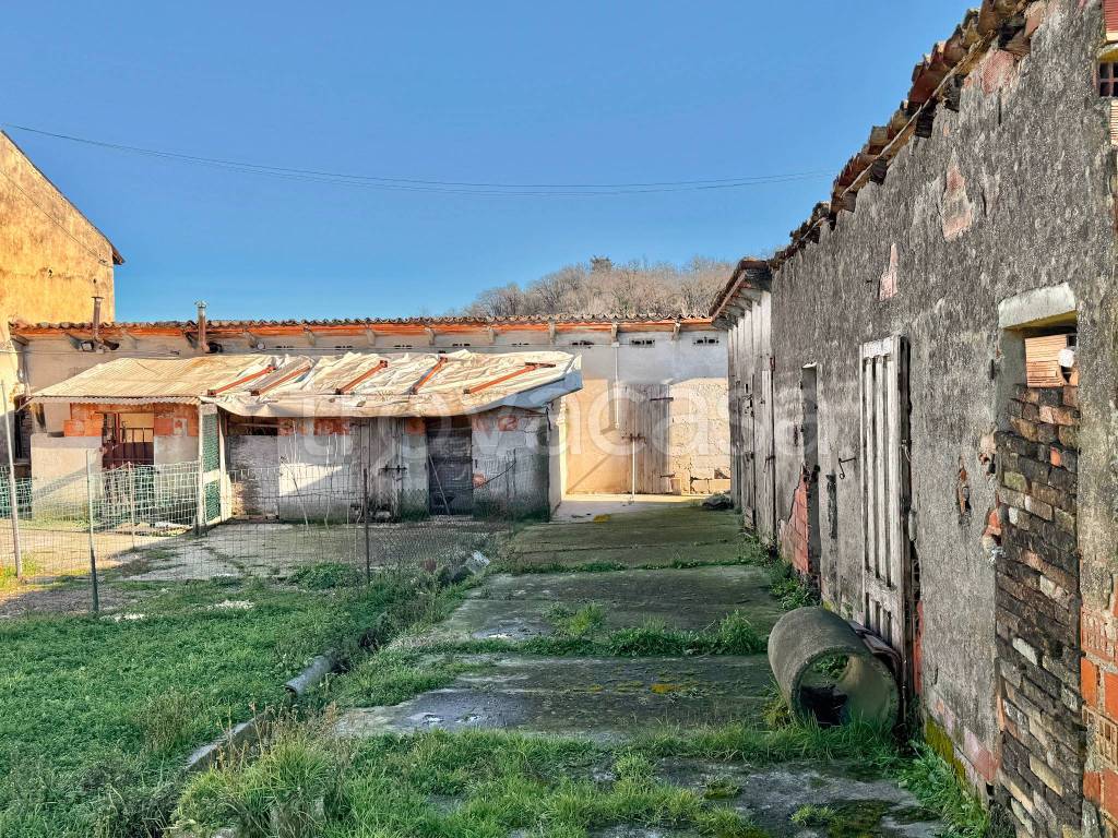 immagine annuncio 9 di 11