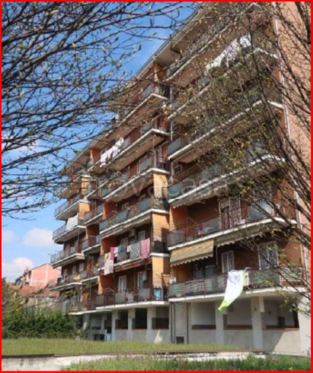 immagine annuncio 1 di 14