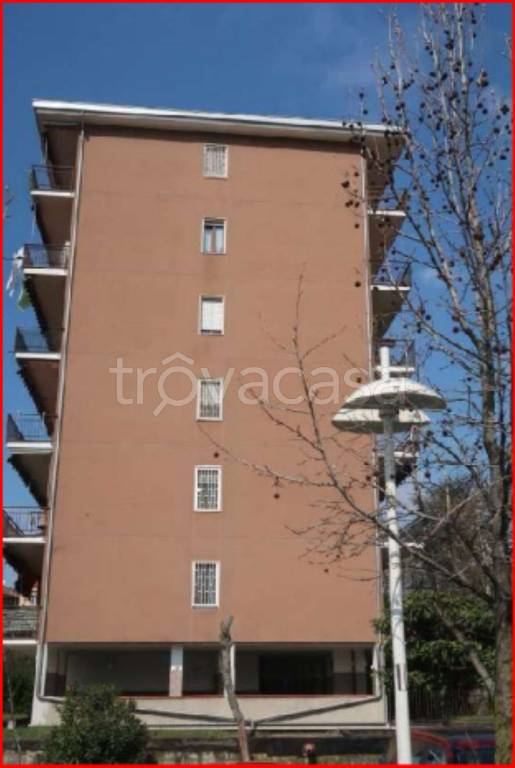 immagine annuncio 2 di 14