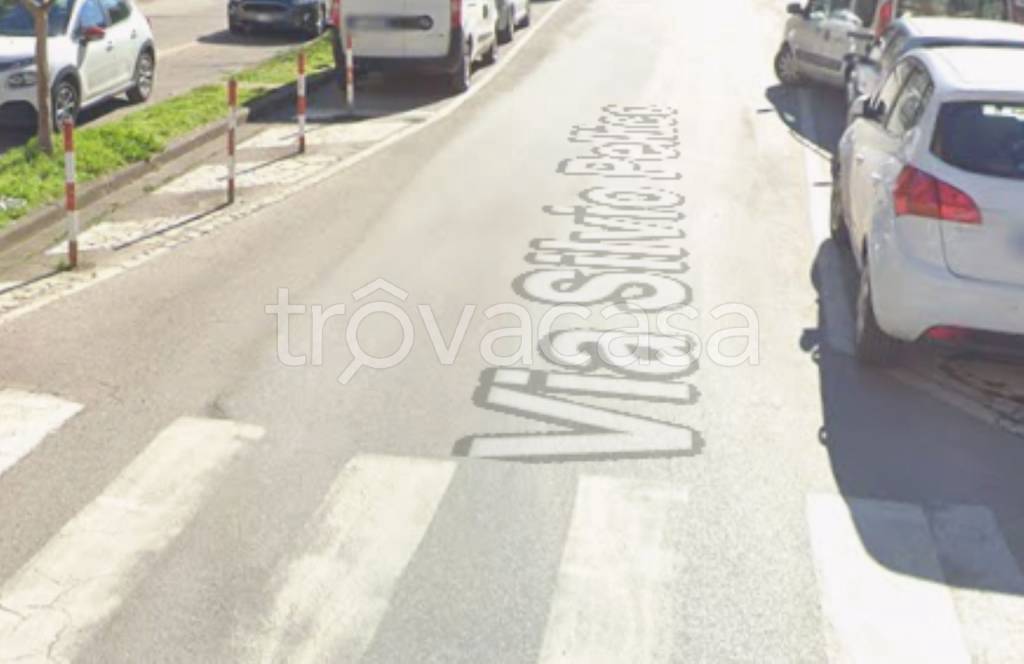 immagine annuncio 9 di 14