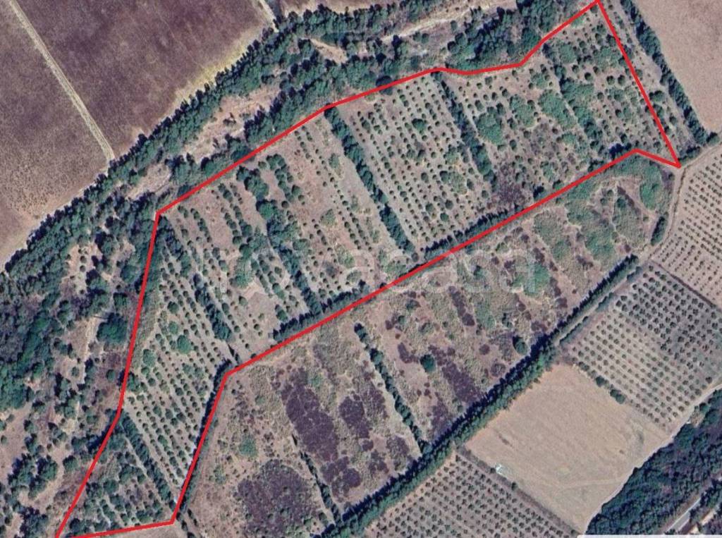 immagine annuncio 1 di 2