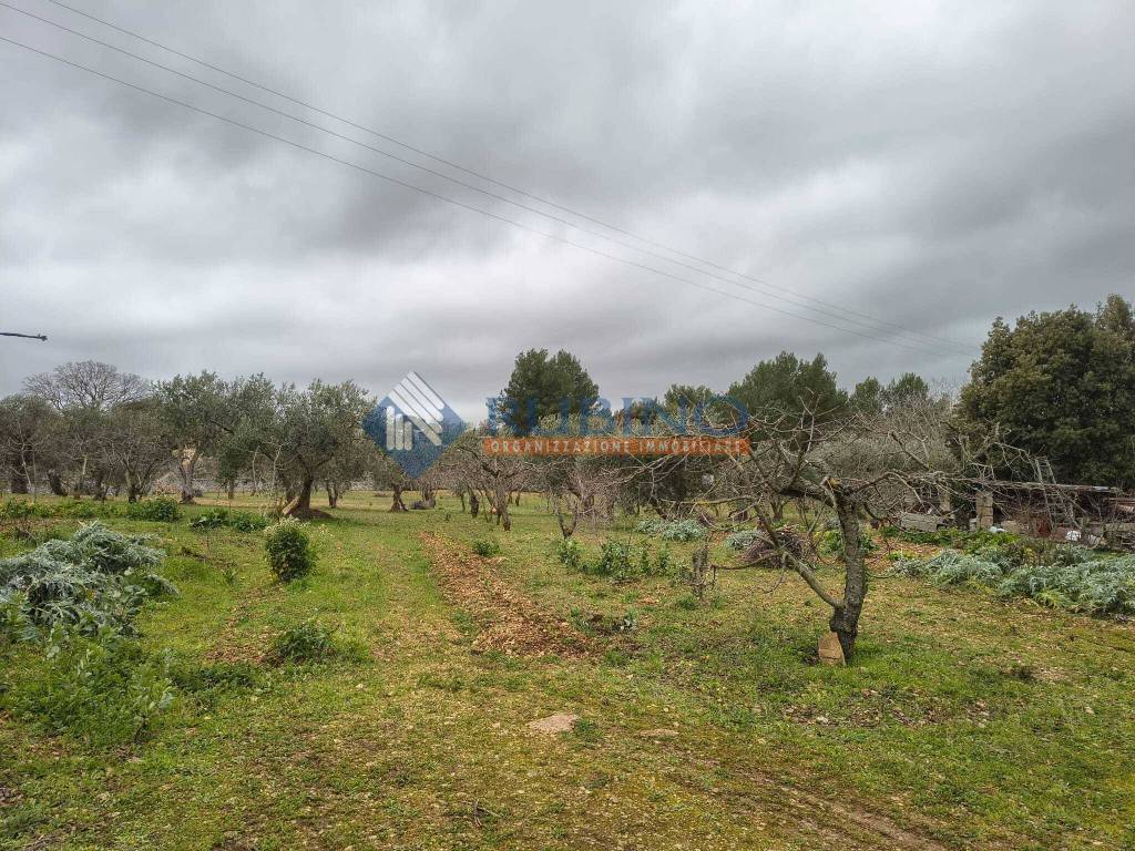 immagine annuncio 3 di 8