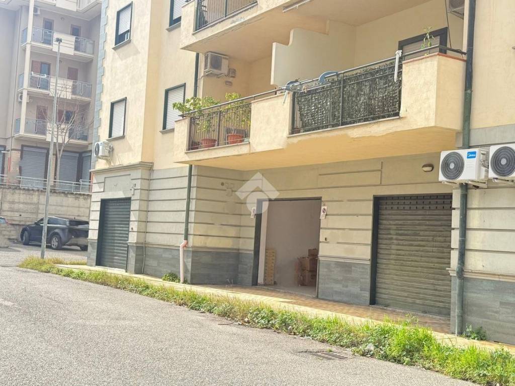 immagine annuncio 4 di 12