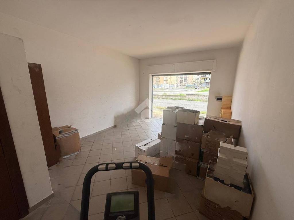 immagine annuncio 5 di 12