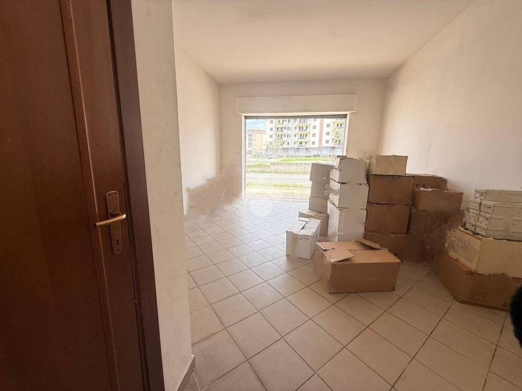 immagine annuncio 7 di 12