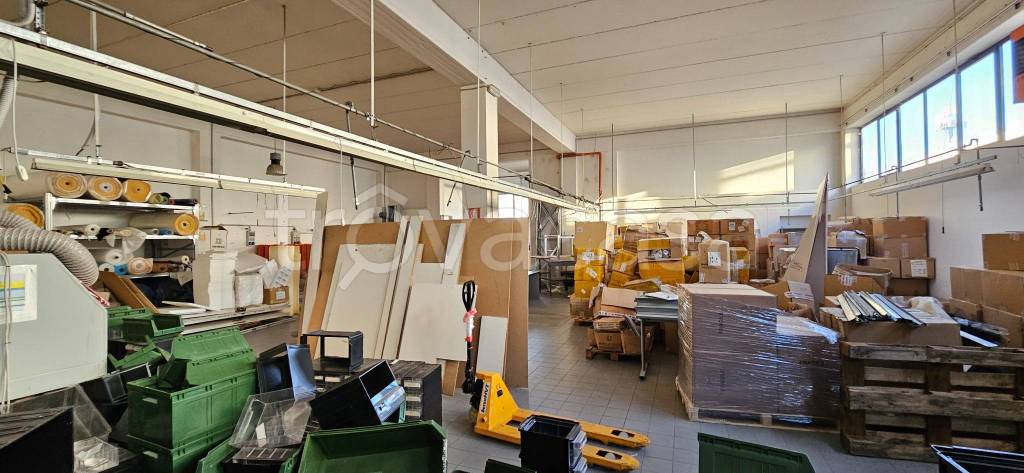 immagine annuncio 8 di 15