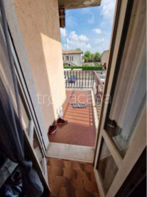 immagine annuncio 3 di 11