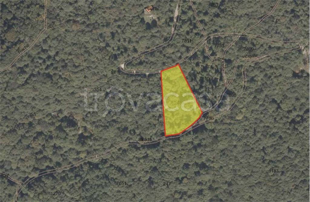 immagine annuncio 1 di 2