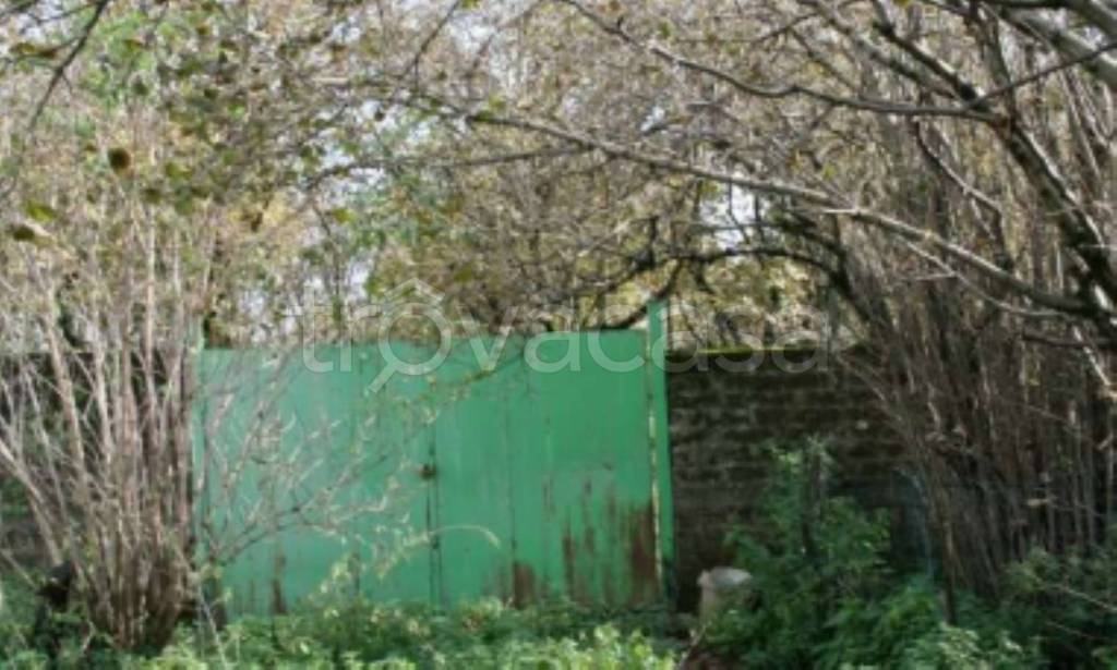 immagine annuncio 6 di 12