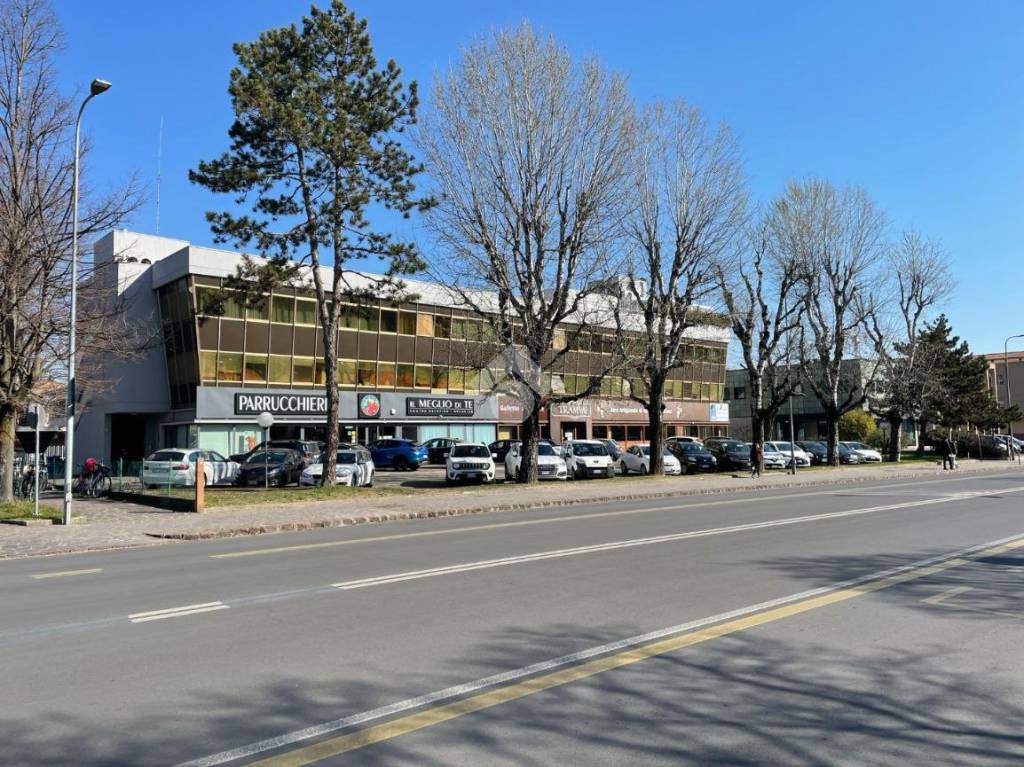 immagine annuncio 3 di 12