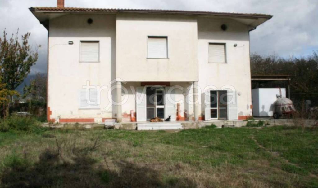 immagine annuncio 9 di 12