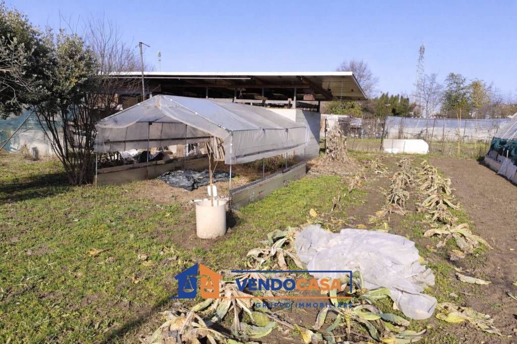 immagine annuncio 3 di 12