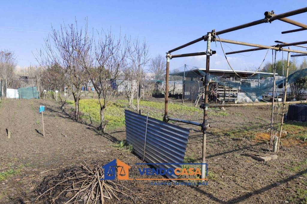 immagine annuncio 4 di 12