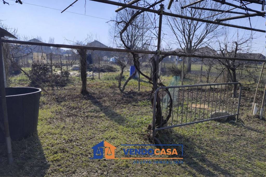 immagine annuncio 5 di 12