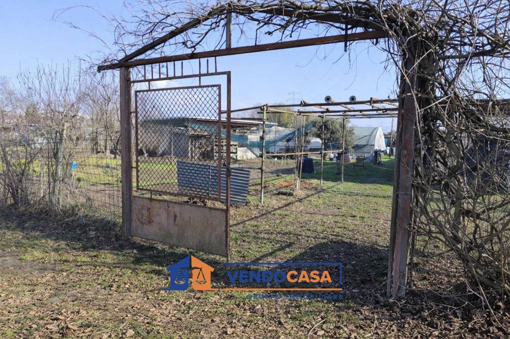 immagine annuncio 6 di 12