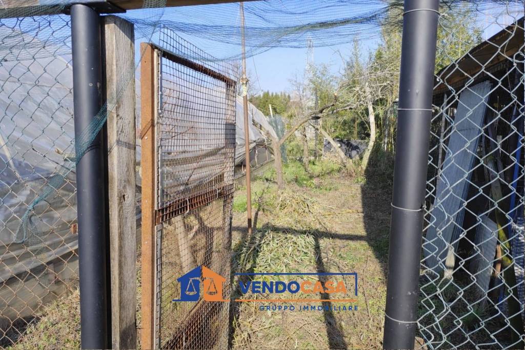 immagine annuncio 7 di 12