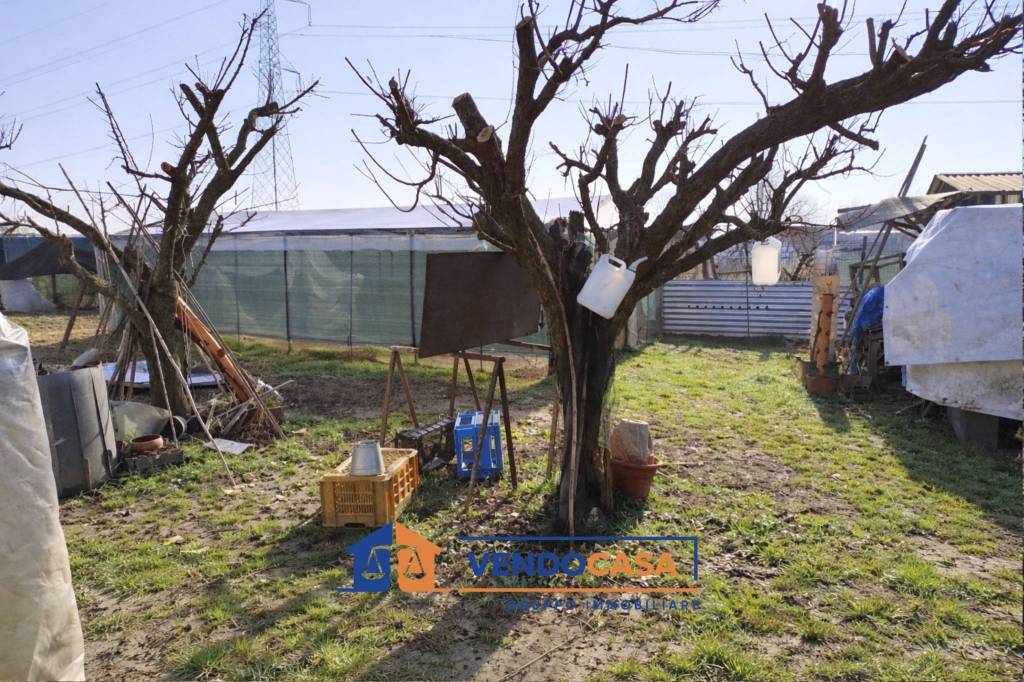 immagine annuncio 8 di 12