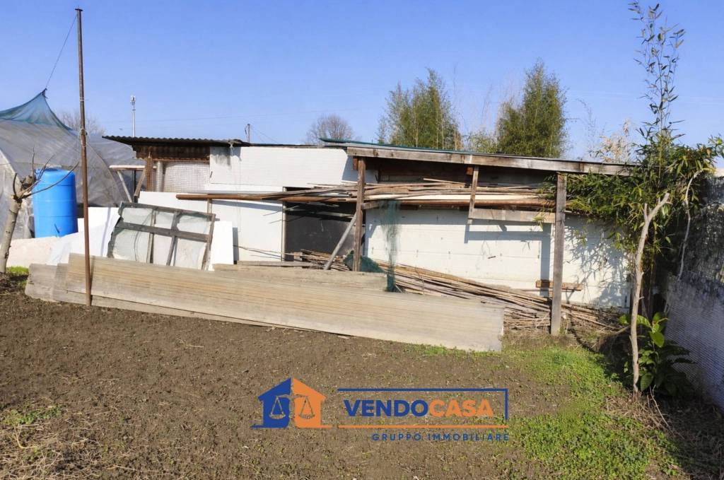 immagine annuncio 9 di 12