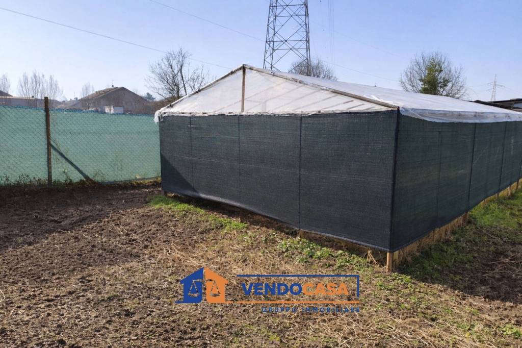 immagine annuncio 1 di 12