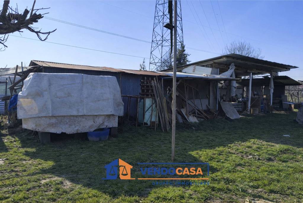 immagine annuncio 11 di 12