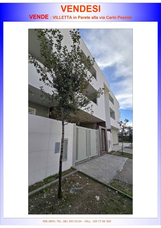 immagine annuncio 14 di 15