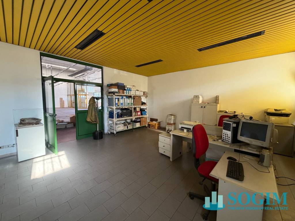 immagine annuncio 7 di 14