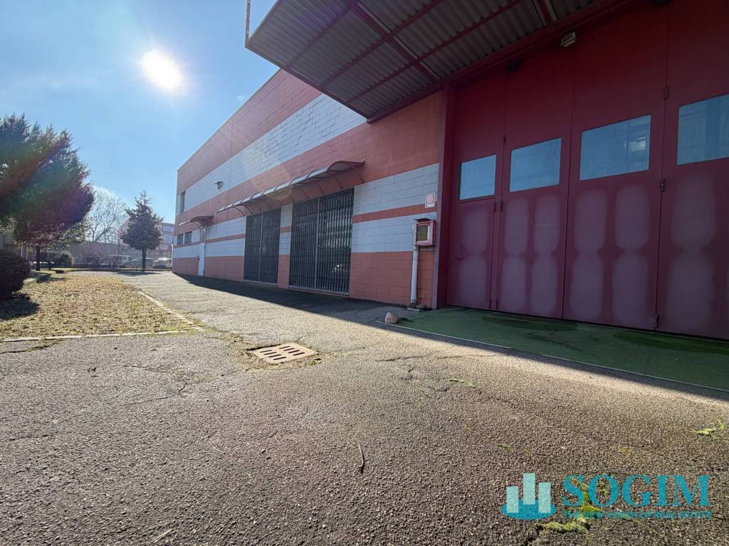 immagine annuncio 9 di 14