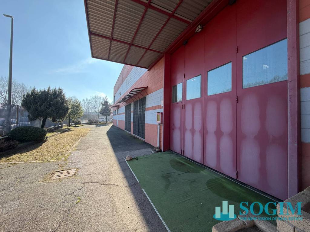 immagine annuncio 10 di 14