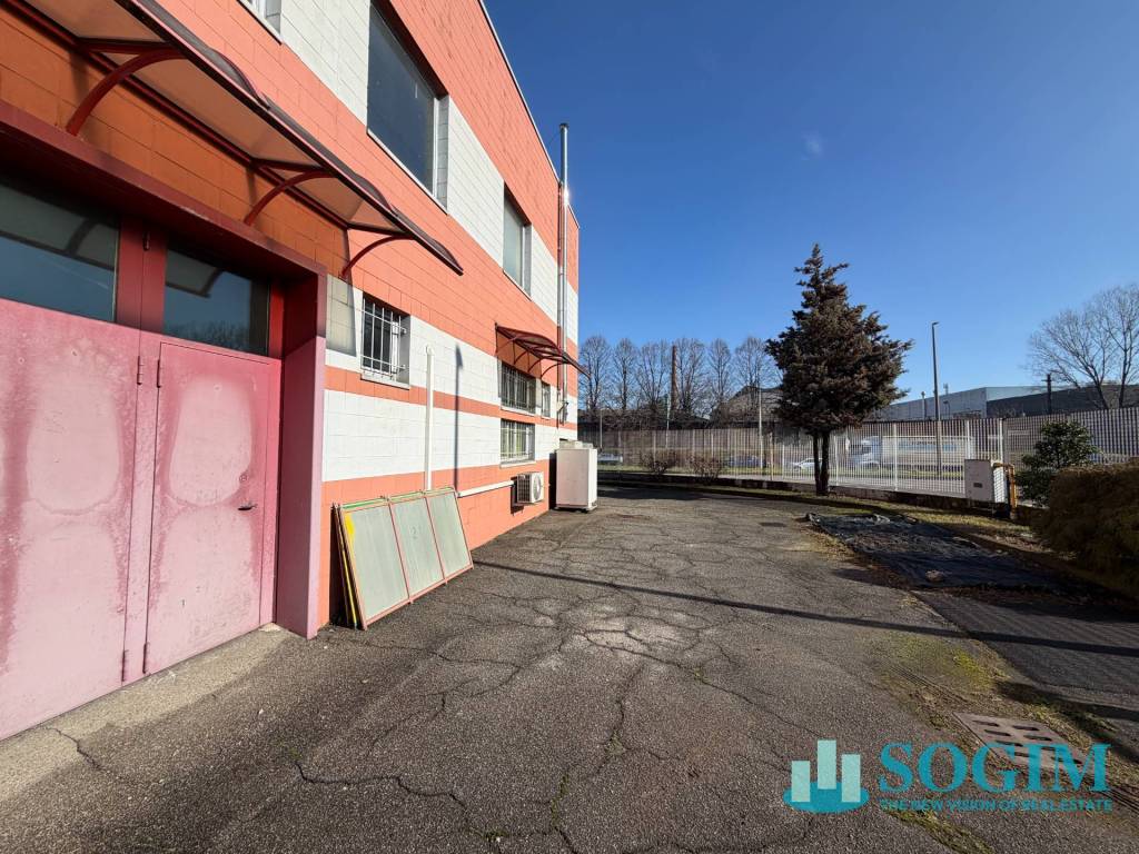 immagine annuncio 12 di 14