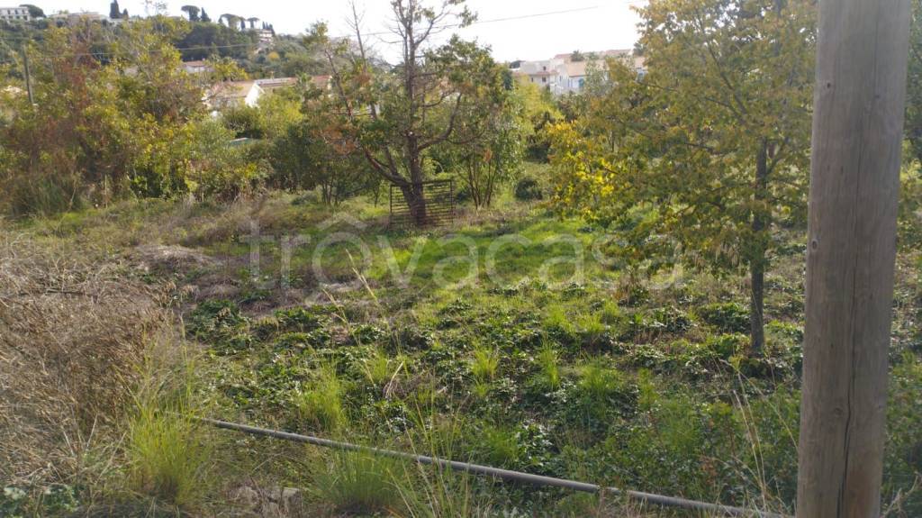 immagine annuncio 12 di 14