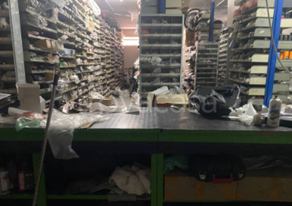 immagine annuncio 4 di 10