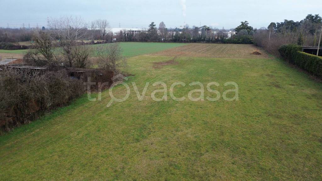 immagine annuncio 2 di 8