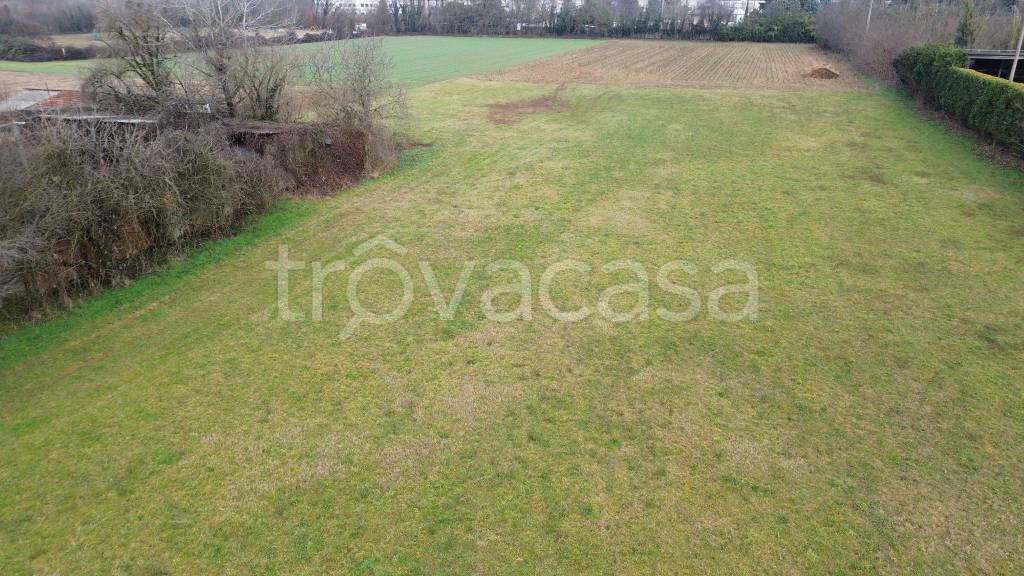 immagine annuncio 3 di 8