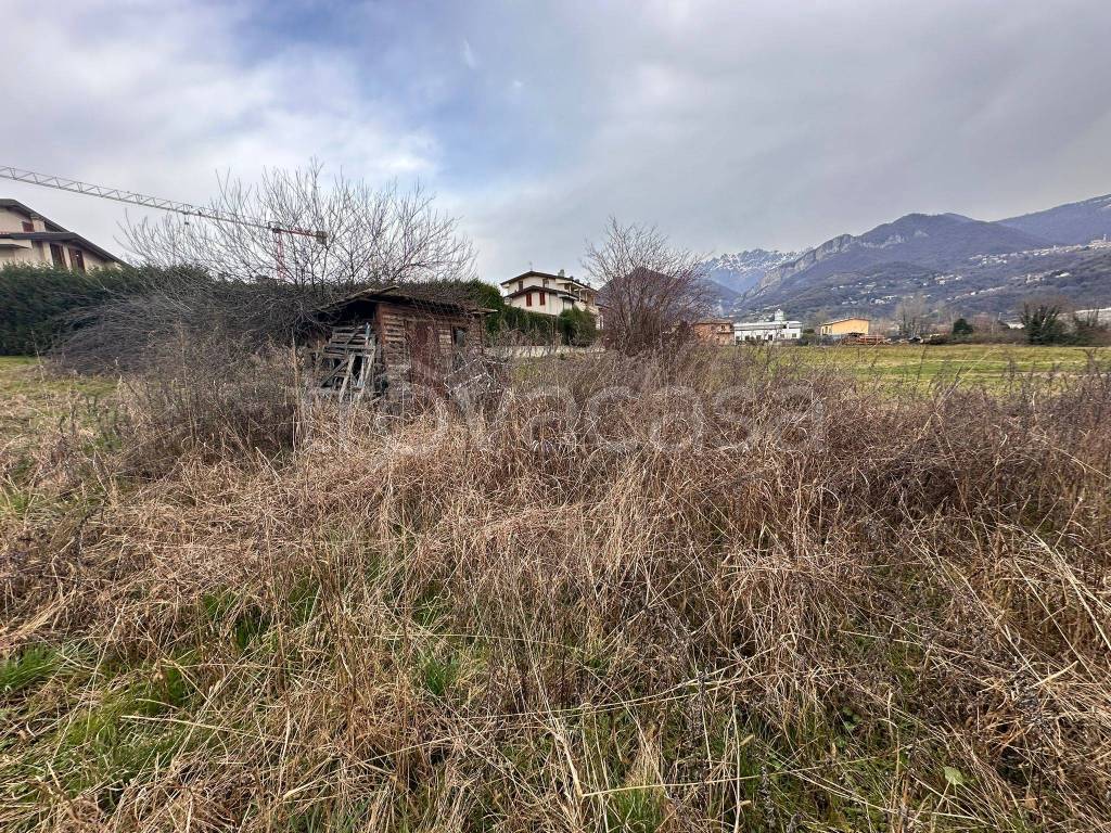 immagine annuncio 6 di 13