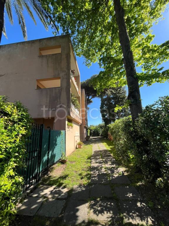 immagine annuncio 9 di 12